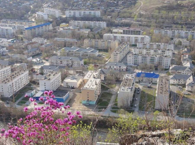 Приговор за лес и связи: как дело Платонова и Башкерёва обнажило слабость системы