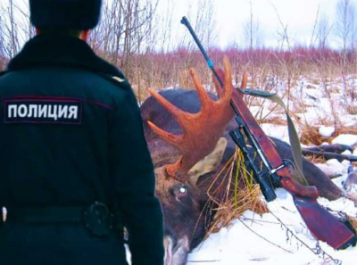 Газаряны режут лес и воруют скот, а менты жрут шашлыки и крышуют &mdash; вся Татищевка на крючке у ОПГ