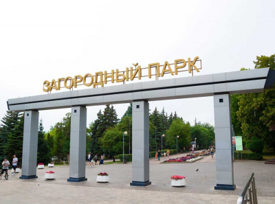 Самарский загородный парк под ножом? Кто и как делит зелёную зону под прикрытием обновления