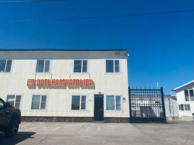 Рыбный край без улова: как Камчатка превратилась в источник обогащения для чиновников