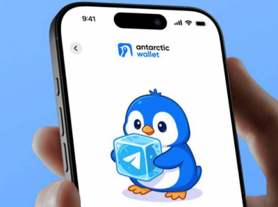 Antarctic Wallet и Мырзабеков: дроп-директор, фантик из Кыргызстана и таджикский банк для грязных денег