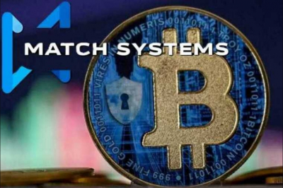 Блокчейн-потрошители из Plain chain: как экс-чекисты грабят жертв на авансах, подделывают решения судов и продают инвесторам &laquo;пустышку&raquo;