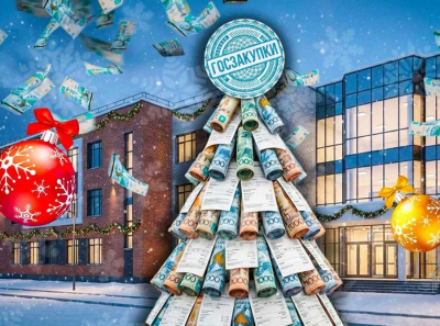 Ёлка за восемь млн: зачем школе в Степногорске 32 000 игрушек и принтеры, как для дата-центра